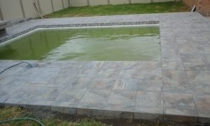 whatsapp-image-2025-05-08-at-121716-67a5a239